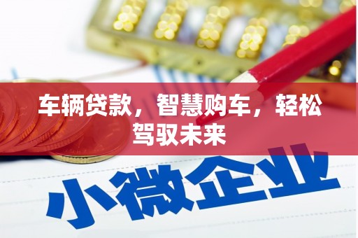 惠民车辆贷款，智慧购车，轻松驾驭未来