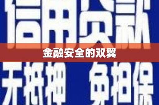 惠民金融安全的双翼