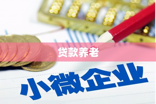惠民贷款养老
