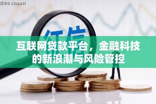 惠民互联网贷款平台，金融科技的新浪潮与风险管控