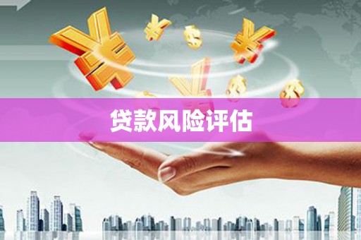 惠民贷款风险评估