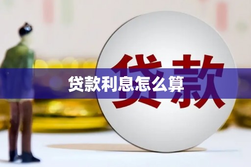 惠民贷款利息怎么算