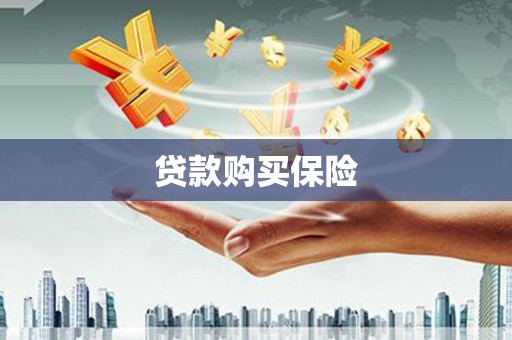 惠民贷款购买保险