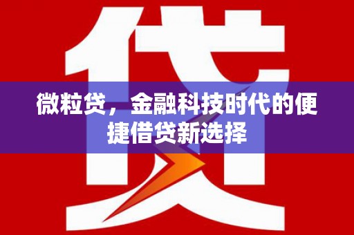 惠民微粒贷，金融科技时代的便捷借贷新选择