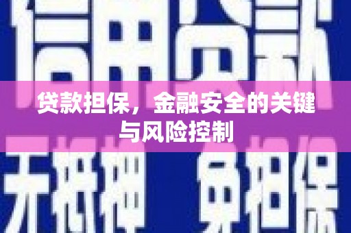 惠民贷款担保，金融安全的关键与风险控制