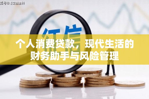 惠民个人消费贷款，现代生活的财务助手与风险管理