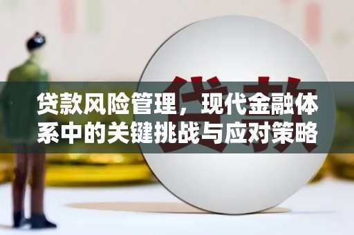 惠民贷款风险管理，现代金融体系中的关键挑战与应对策略