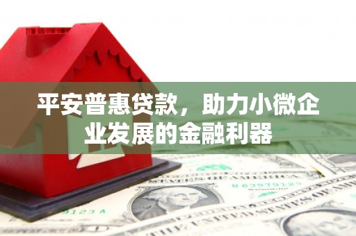 惠民平安普惠贷款，助力小微企业发展的金融利器