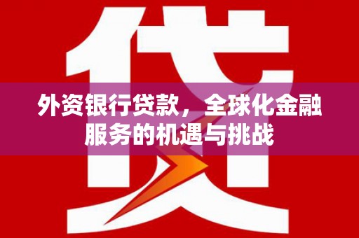 惠民外资银行贷款，全球化金融服务的机遇与挑战