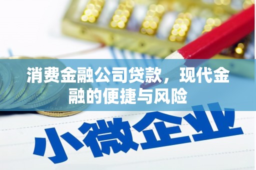 惠民消费金融公司贷款，现代金融的便捷与风险