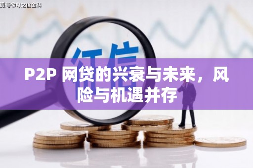 惠民P2P 网贷的兴衰与未来，风险与机遇并存