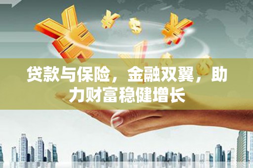 惠民贷款与保险，金融双翼，助力财富稳健增长