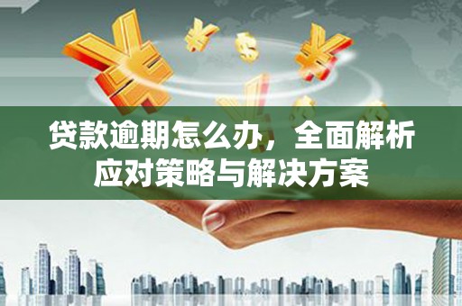 惠民贷款逾期怎么办，全面解析应对策略与解决方案