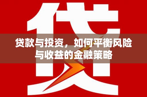 惠民贷款与投资，如何平衡风险与收益的金融策略
