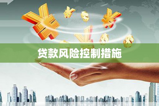 惠民贷款风险控制措施