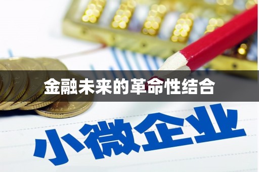 惠民金融未来的革命性结合