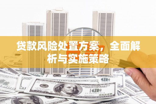 惠民贷款风险处置方案，全面解析与实施策略