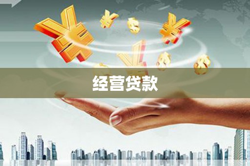 惠民经营贷款