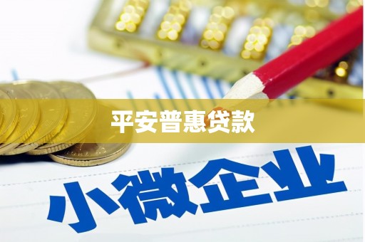 惠民平安普惠贷款